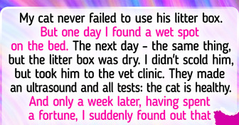 16 Curious Stories From Pet Owners Who Found a Source of Constant Fun