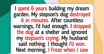 12 Moments That Teach Us Kindness Still Wins in the End