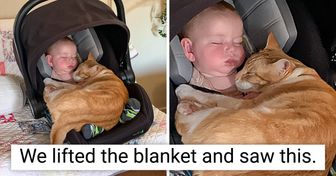 17 Pics That Remind Us the World Is Full of Warmth