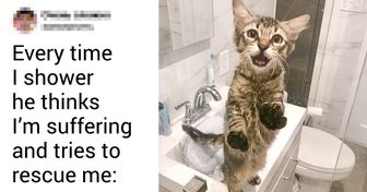 17 Loving Pets Who Won’t Leave Their Humans Alone, Even for a Second