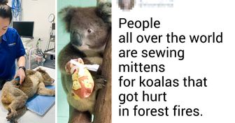 15+ Stories That Prove the World Is Filled With Love and Care