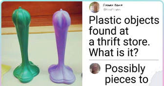 15 Mysterious Objects That Left Internet Confused