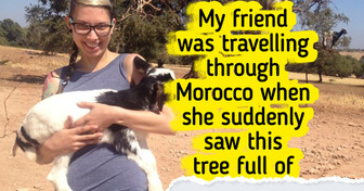 21 Travelers Who Uncovered Hidden Surprises on Their Journeys