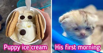 22 Pics That Literally Made Us Squeak With Pleasure