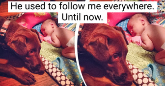 14 Pets Whose Love for Their Humans Can’t Be Bought for Any Amount of Money in the World