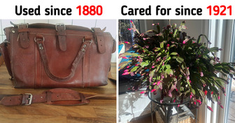 18 People Show Us Their Precious Belongings That Have Stood the Test of Time