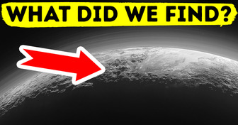 First Photos of Pluto, and We Found a Whale