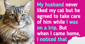 My Husband Gave Away My Cat, and I’m Considering Divorce