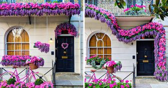 A Photographer Captures Doors Around London That Seem Like Portals to a Magical World