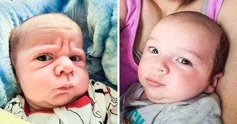 20 Babies That Just Arrived in This World but Already Look Like They Want to Retire