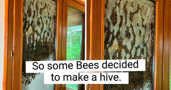 17+ People Who Caught Nature Doing Something Totally Unexpected