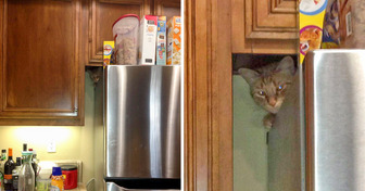 14 Photos That Look Ordinary Until You Get a Little Closer