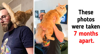 12 Pets That Grew Giant, Like Their Owner’s Love for Them