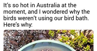 18 Reasons to Love Australia but From a Safe Distance