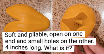 10+ Mystery Objects That Need a Real Brainiac to Help Identify Them