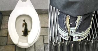 15 Pics That Were So Confusing Not Even Google Was Able to Help Us Figure Them Out
