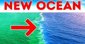 We Just Got a New Ocean, and Sailors Avoid It