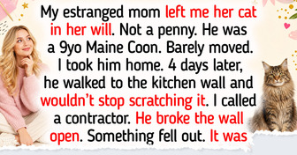 10 Maine Coon Cats Who Made Their Humans’ Lives Better in Unexpected Ways