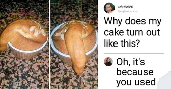 15 Times the Internet Put on its Detective Hat and Cracked Daily Mysteries
