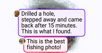 24 Stunning Photos That Prove Nature’s Magic Beats Any Human Design