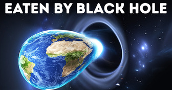 What Would Happen If Earth Fell into a Black Hole