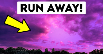The Danger of a Purple Sky: Don’t Wait, Run!