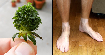 14 Pics That Prove Life Is More Fun When Things Aren’t 100% Right