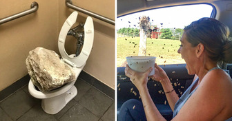 18 Times a Dull Day Suddenly Took an Unexpected Turn