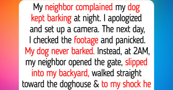 Arizona Woman Caught Neighbor in Her Yard at 2 AM—Footage Revealed What He Did to Her Dog, and 9 More Stories