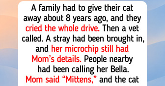 12 Lost Cats and Dogs Who Came Home, Like a Chihuahua Found by Her Microchip After 12 Years