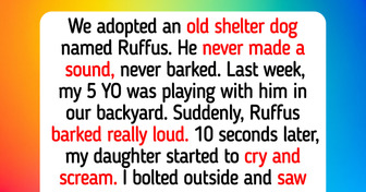 10 Acts of Kindness From Pets Who Somehow Knew Our Hearts Were Heavy
