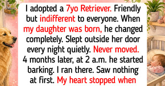 9 Golden Retriever Rescue Moments That Show Dogs Never Give Up on Finding Their Forever Home