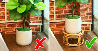 Use these 30 nifty accessories and your plants will thrive