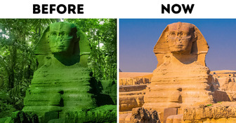 There Was a Jungle Around the Sphinx + 10 Facts From National Geographic