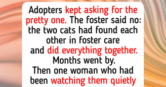 12 Shelter Pets Who Refused to Be Split Up, and Two Foster Cats Nobody Could Separate