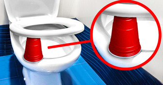 Don’t Go Inside If You See a Red Cup Under Toilet Seat