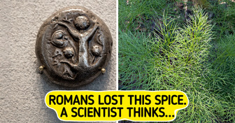 12 Lost Foods People Found Again, Like a Peanut That Survived as 40 Seeds in a Seed Vault