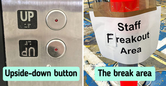 18 Times Creativity Left Us Speechless and Delighted at Once