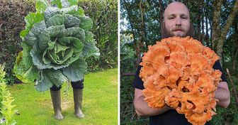 15 Times Mother Nature Unleashed Its Artistic Potential and Created Real Wonders