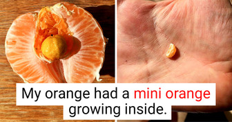 22 Times the Universe Was a Box of Infinite Wonders
