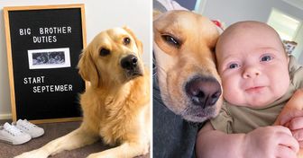 Parents Capture the Sweet Bond of a Furry Big Brother and His Human Sister
