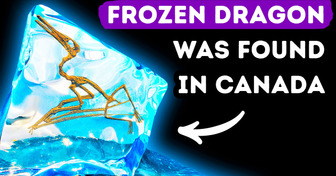 ’Frozen Dragon’ Species Was Trapped in Ice for 76 Mln Years