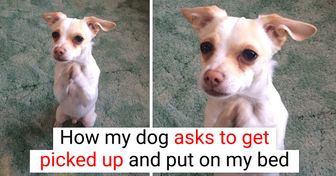 18 Pics That Can Fill Your Cup of Happiness