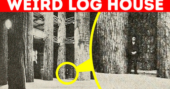 The Lost World’s Biggest Log Cabin: What Happened to It?
