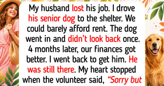 10 Real Animal Shelter Moments Where Dogs Reminded People That Compassion and Kindness Can Change Everything