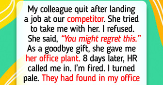 10 Success Moments Where Kindness Became the Light of Happiness in Someone’s World