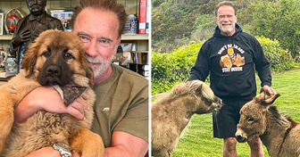 How Arnold Schwarzenegger’s Quest for a Fulfilling Life Led Him From Movie Stardom to Farm Living