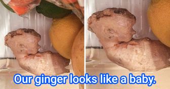 16 Times People Saw Something That Deceived Their Eyes