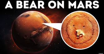 NASA Astronomers Discovered a “Bear” on Mars