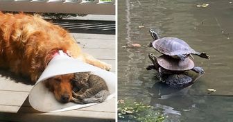 15+ Pics That Prove Support Is the Most Precious Thing in Life